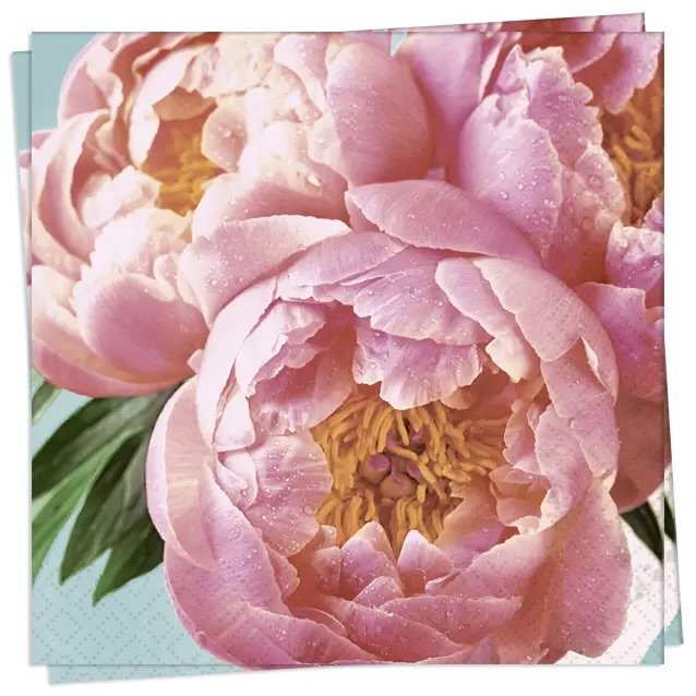 029777 Paper Napkins - 2