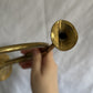 63fe71384f2da238419a4f9e_048090-brass-horn-wall-hanging-4_1763849271884.jpg