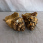 63fe71384f2da238419a4f9e_048101-ceramic-conch-shell-candle-holders-1_1767403008341.jpg