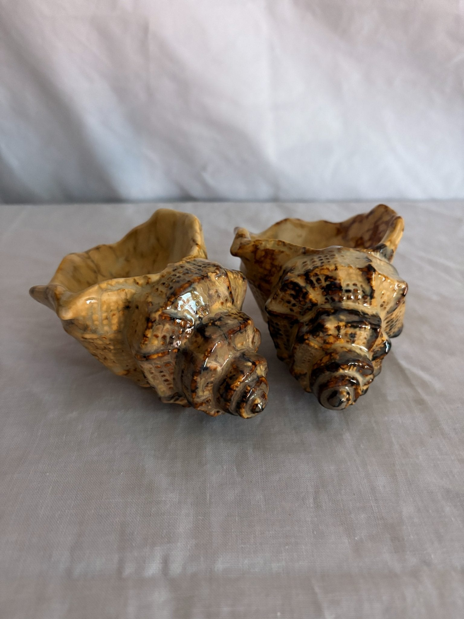 63fe71384f2da238419a4f9e_048101-ceramic-conch-shell-candle-holders-1_1767403008341.jpg