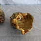 63fe71384f2da238419a4f9e_048101-ceramic-conch-shell-candle-holders-2_1767403008342.jpg