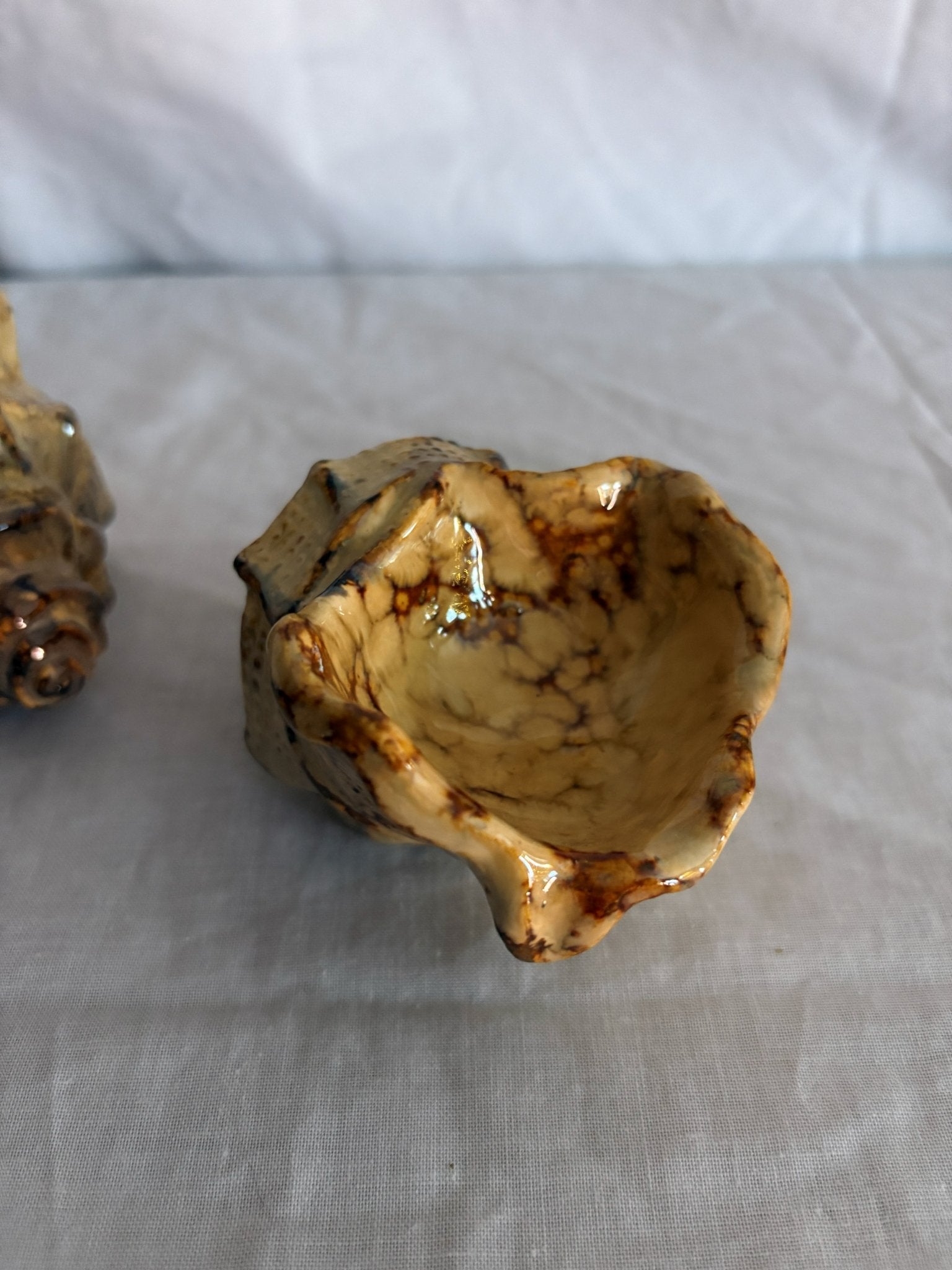 63fe71384f2da238419a4f9e_048101-ceramic-conch-shell-candle-holders-2_1767403008342.jpg