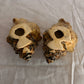 63fe71384f2da238419a4f9e_048101-ceramic-conch-shell-candle-holders-3_1767403008342.jpg
