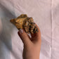 63fe71384f2da238419a4f9e_048101-ceramic-conch-shell-candle-holders-4_1767403008343.jpg