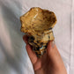 63fe71384f2da238419a4f9e_048101-ceramic-conch-shell-candle-holders-5_1767403008343.jpg