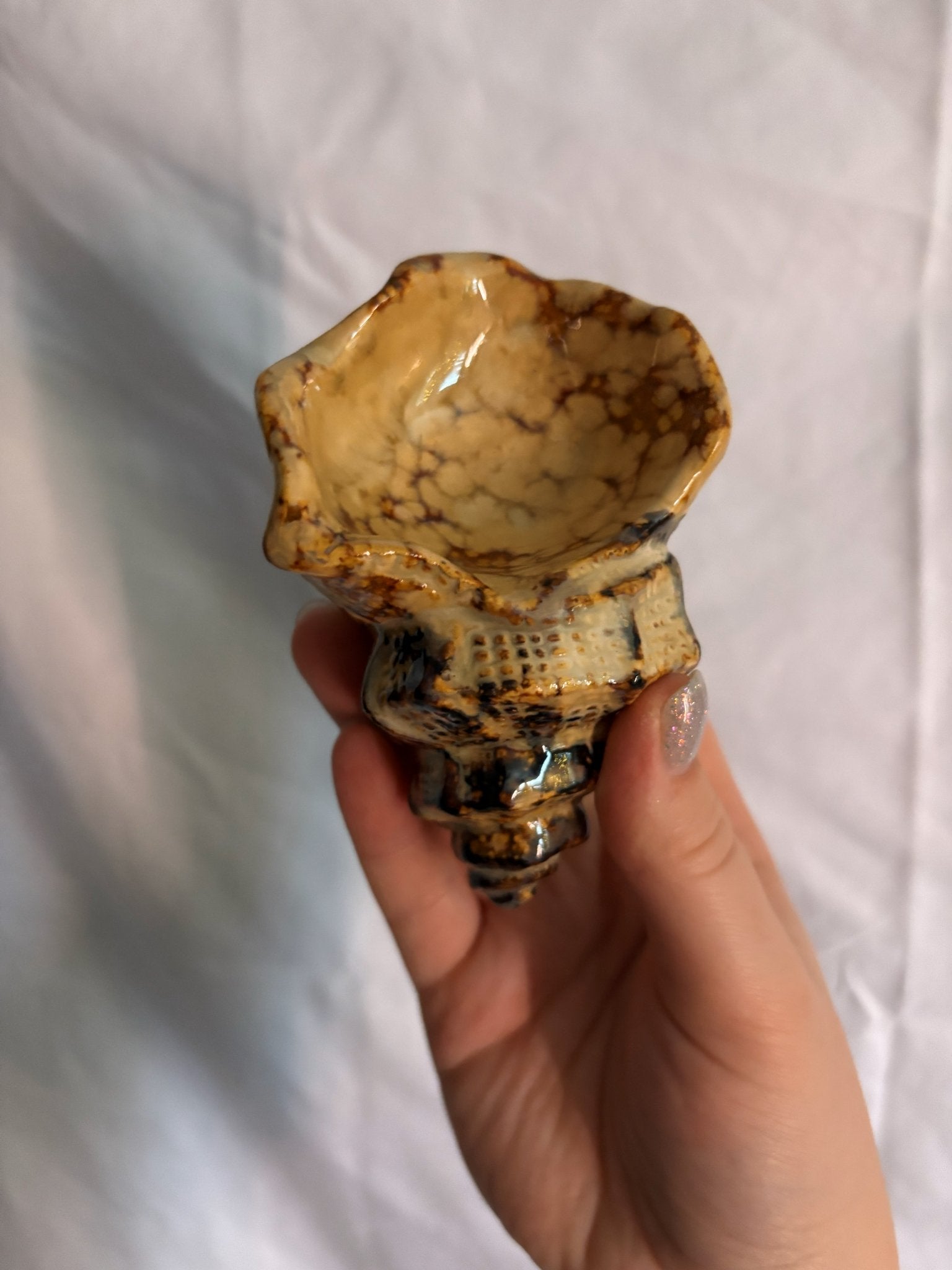 63fe71384f2da238419a4f9e_048101-ceramic-conch-shell-candle-holders-5_1767403008343.jpg