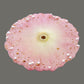 095432 Tabletop Resin Decor - 2