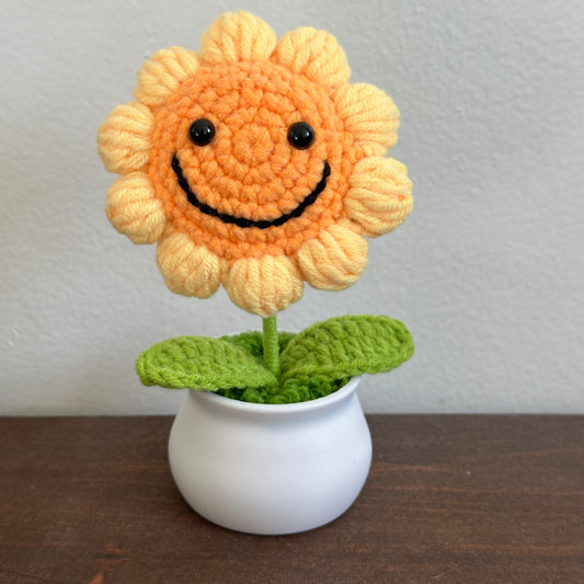 109202-Potted Smile Sunflower - 1