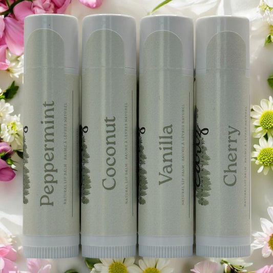 63fe71384f2da238419a4f9e_4-balms-2_1747766674816.jpg