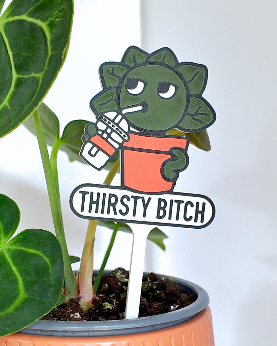 63fe71384f2da238419a4f9e_400026-plant-stake-close-up_1784043337781.png