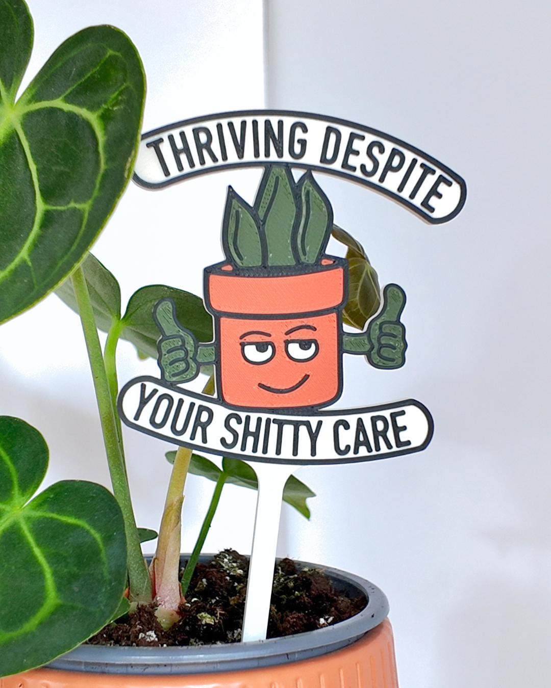 63fe71384f2da238419a4f9e_400029-plant-stake-close-up_1784043322559.png