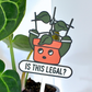 63fe71384f2da238419a4f9e_400039-plant-stake-close-up_1786543409011.png