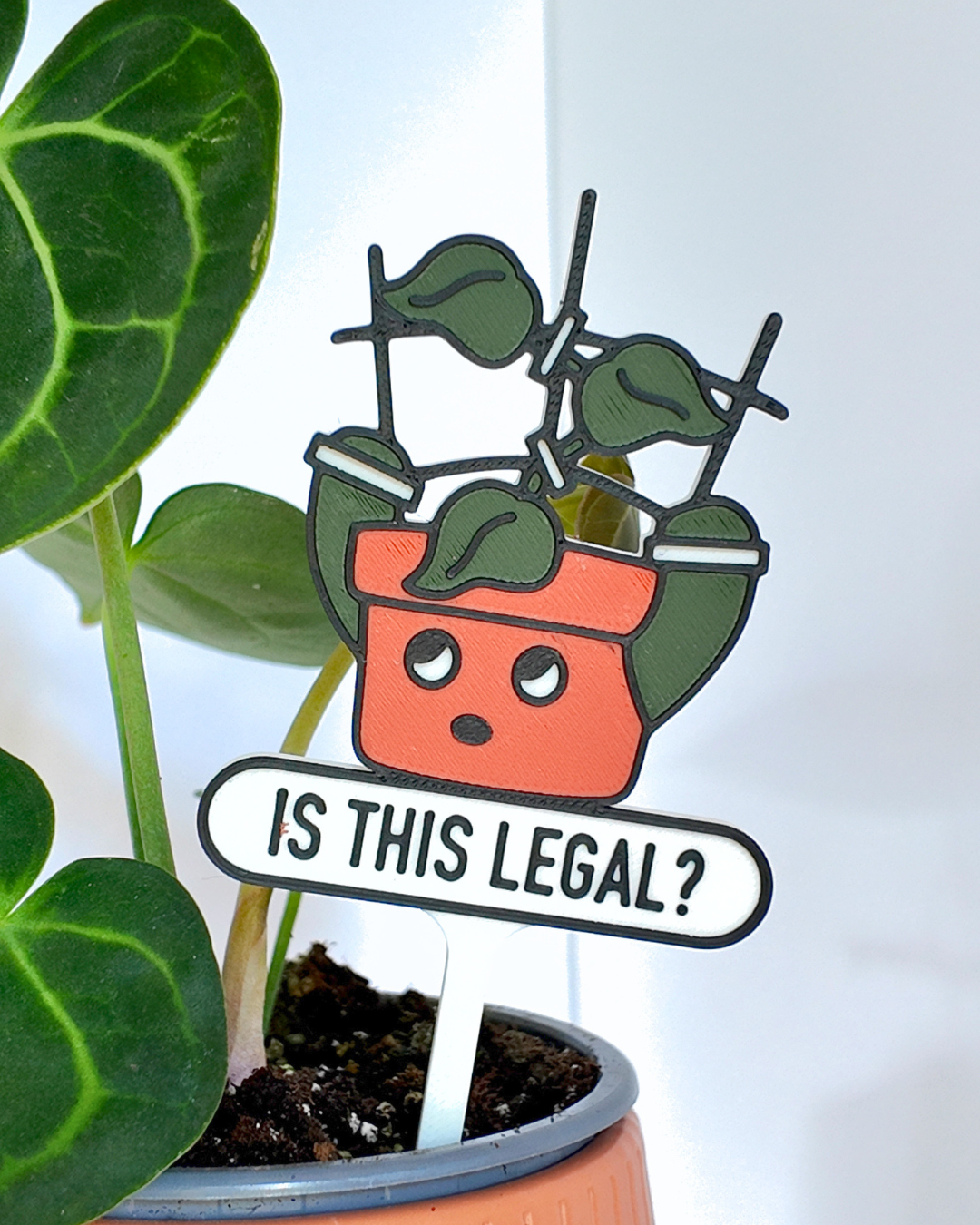 63fe71384f2da238419a4f9e_400039-plant-stake-close-up_1786543409011.png