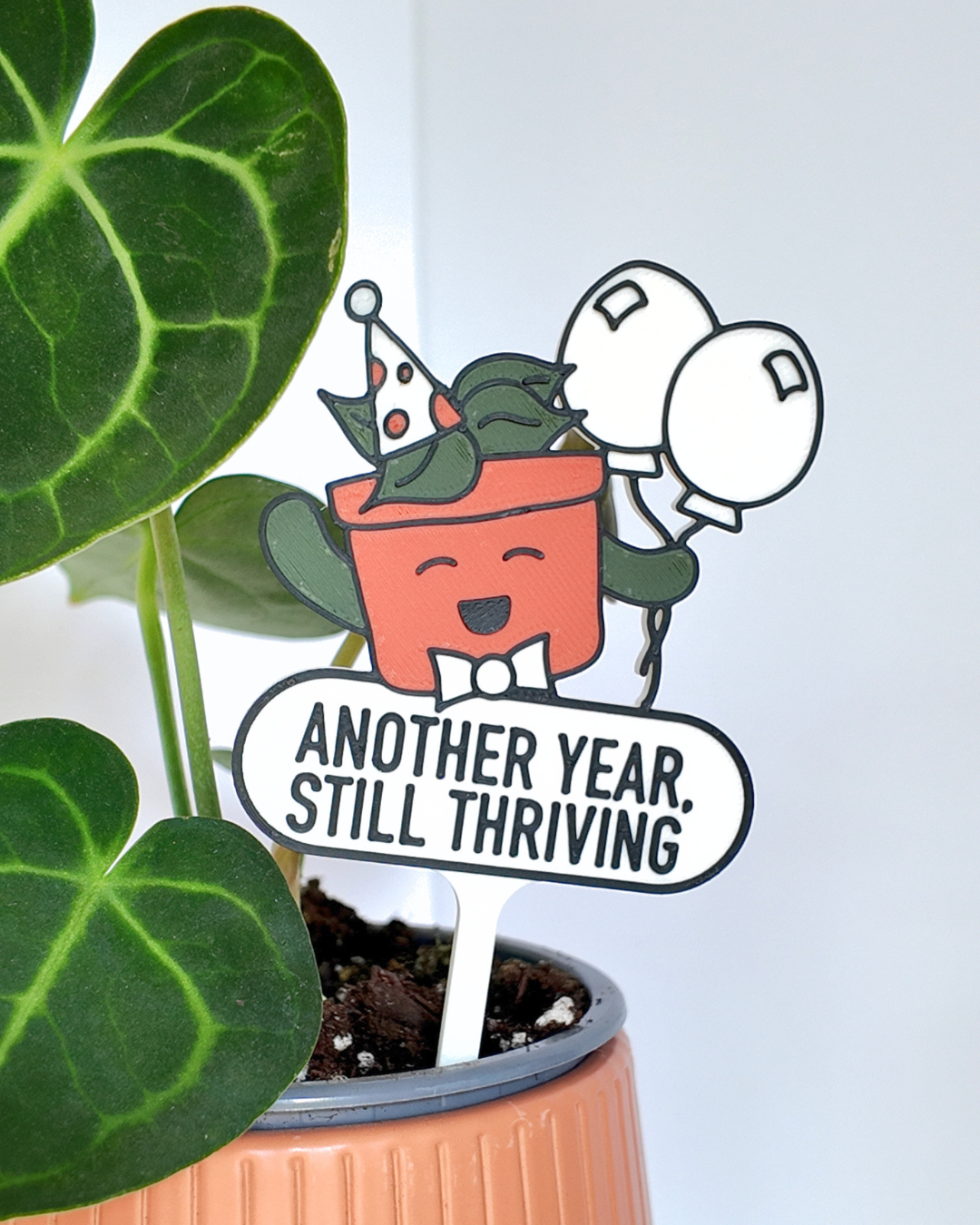 63fe71384f2da238419a4f9e_another-year-still-thriving-close-up_1784043369591.png