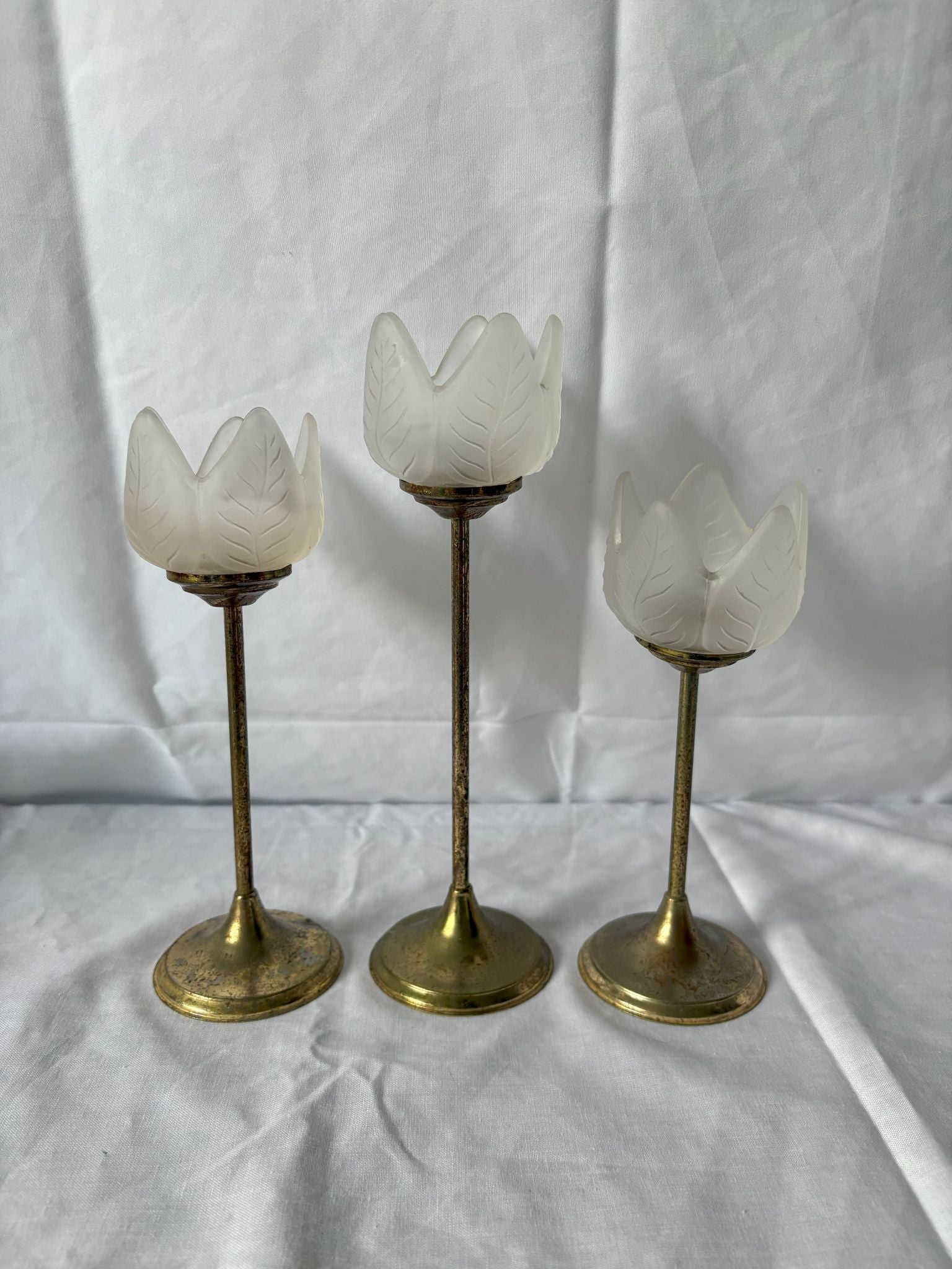 63fe71384f2da238419a4f9e_brass-tulip-candlesticks_1750620413136.jpg
