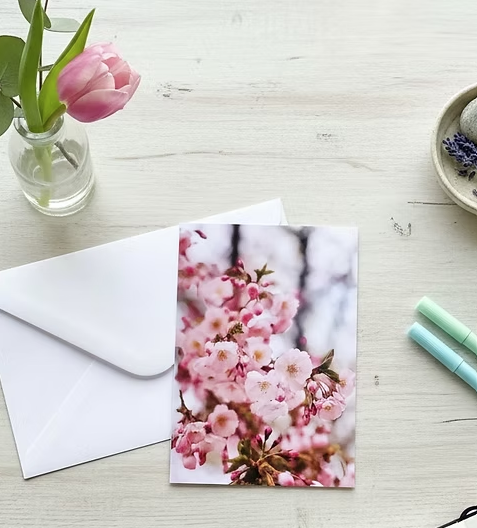 63fe71384f2da238419a4f9e_cherry-blossoms_1774015478816.png