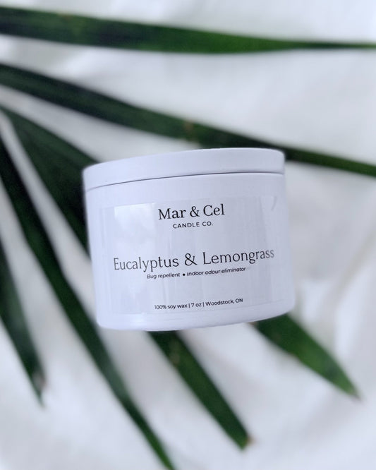 63fe71384f2da238419a4f9e_eucalyptus-lemongrass-candle_1750813765079.jpeg