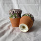63fe71384f2da238419a4f9e_hydrangea-shakers-2_1750616960075.jpg