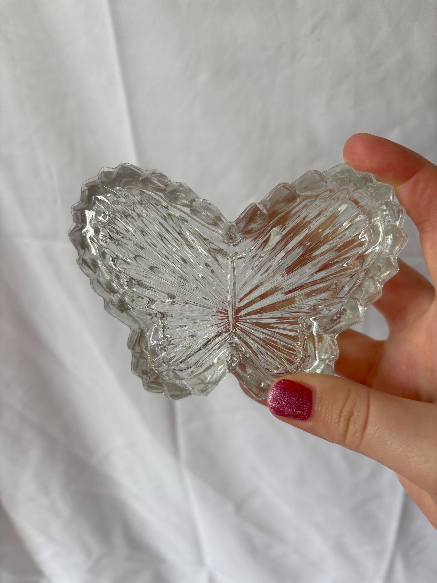 63fe71384f2da238419a4f9e_large-lidded-butterfly-1_1750617406778.jpg