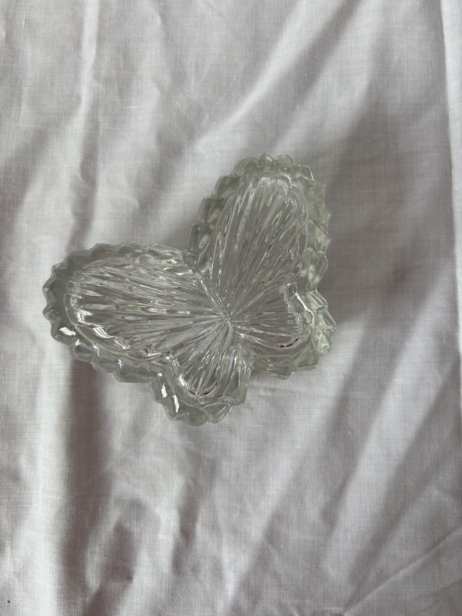 63fe71384f2da238419a4f9e_large-lidded-butterfly-2_1750617406779.jpg