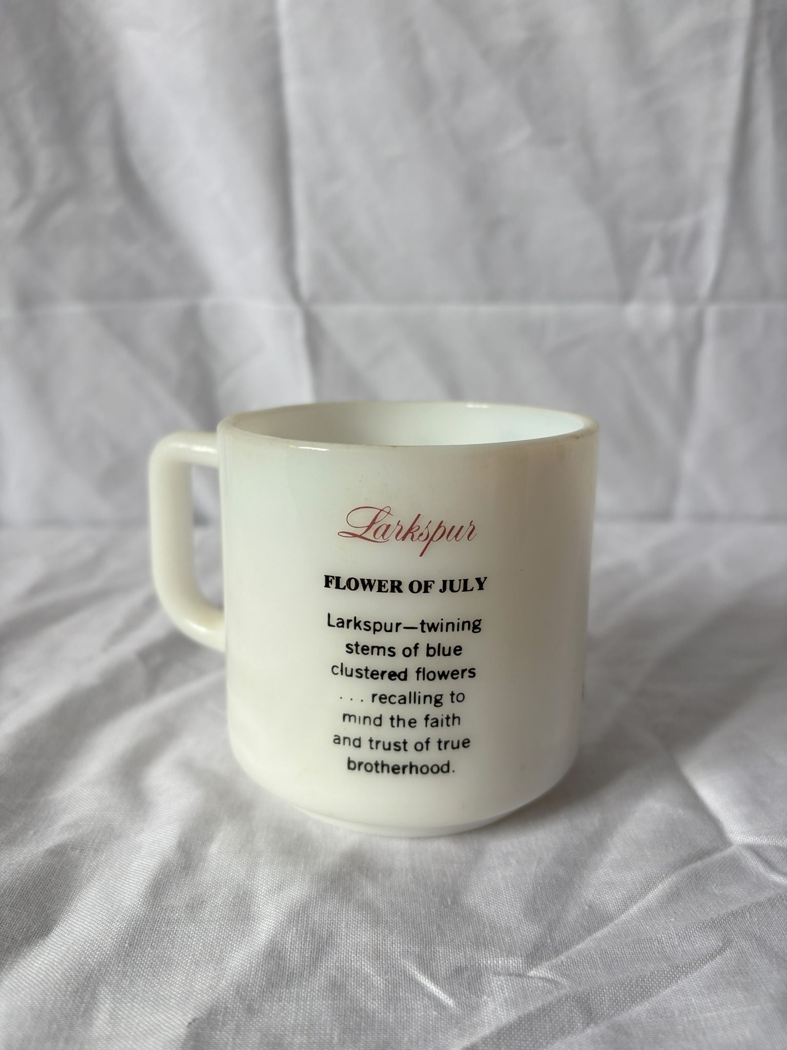 63fe71384f2da238419a4f9e_larkspur-mug-2_1750617115078.jpg