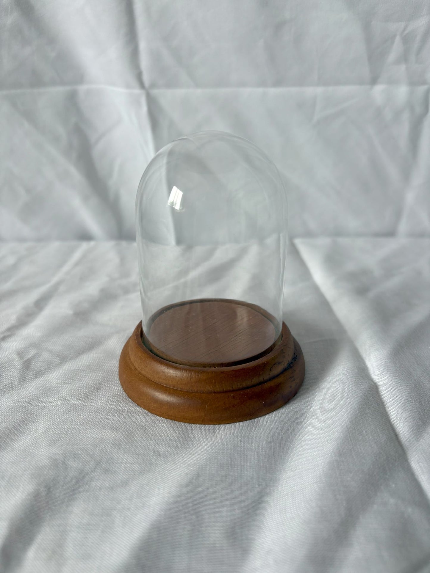 63fe71384f2da238419a4f9e_mini-cloche-1_1750617331708.jpg