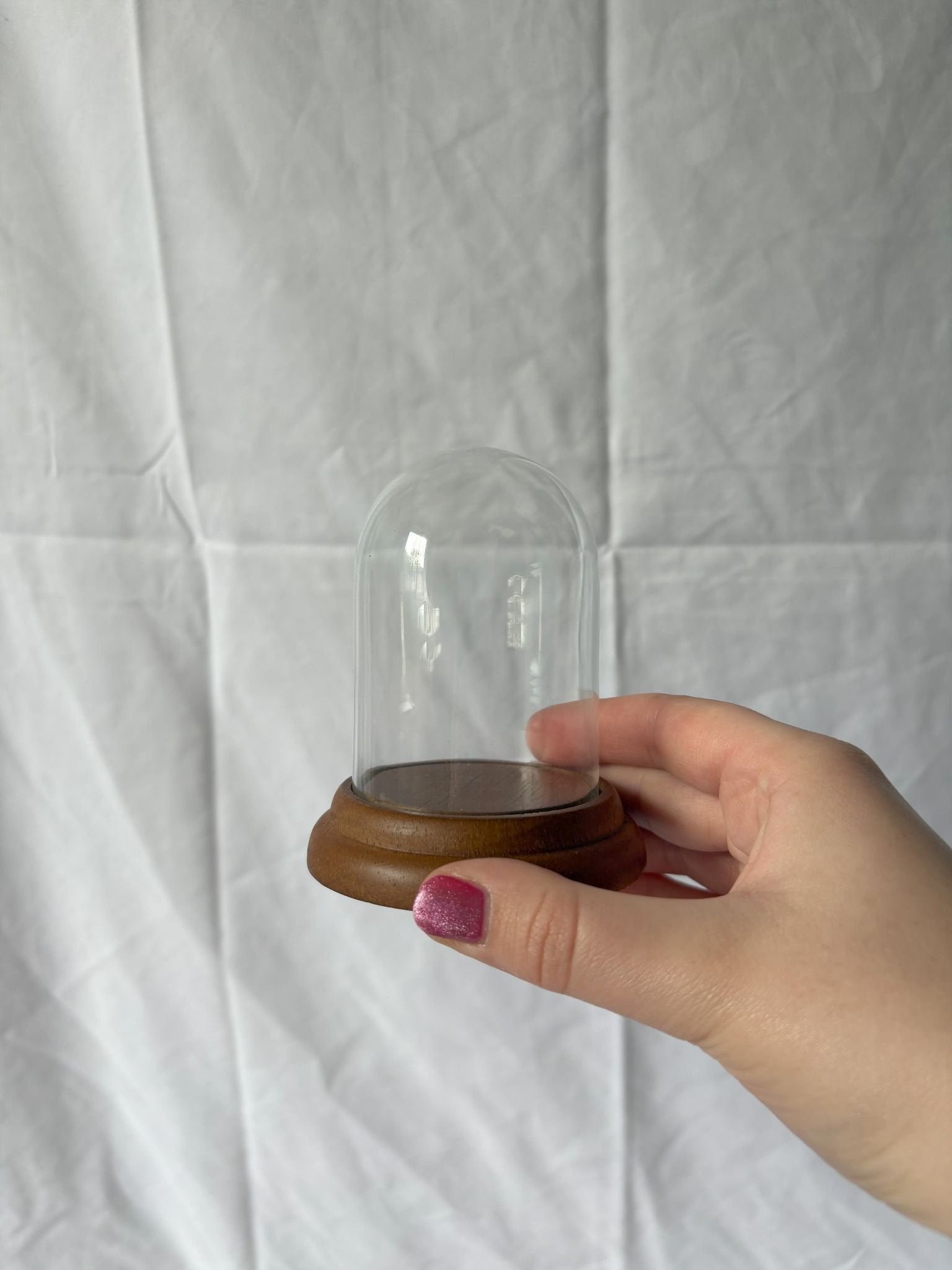 63fe71384f2da238419a4f9e_mini-cloche-2_1750617340953.jpg