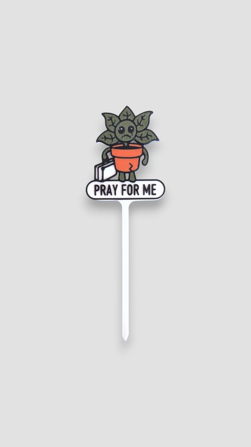 63fe71384f2da238419a4f9e_pray-for-me-single_1750427346670.jpg
