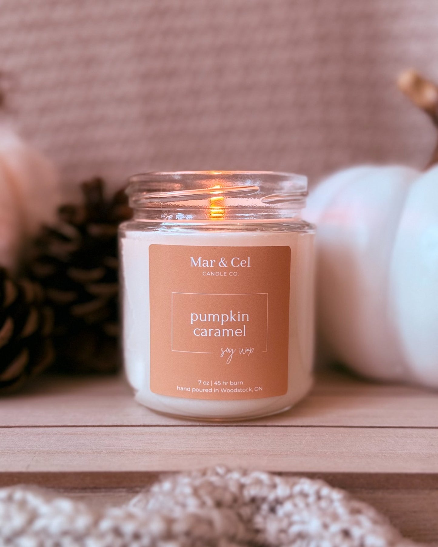 63fe71384f2da238419a4f9e_pumpkin-caramel-candle-pp_1756726453647.jpeg