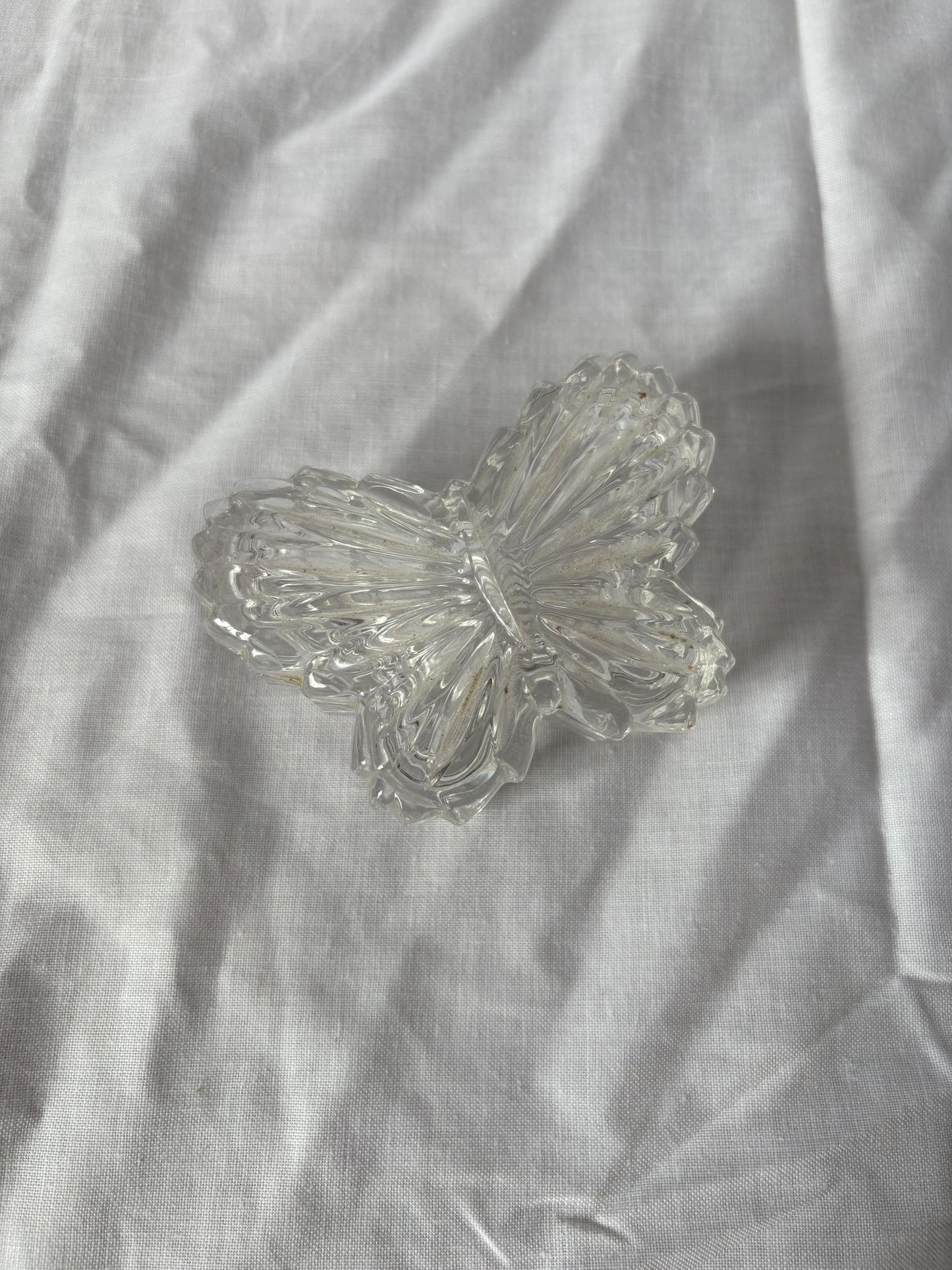 63fe71384f2da238419a4f9e_small-lidded-butterfly-1_1750617406781.jpg