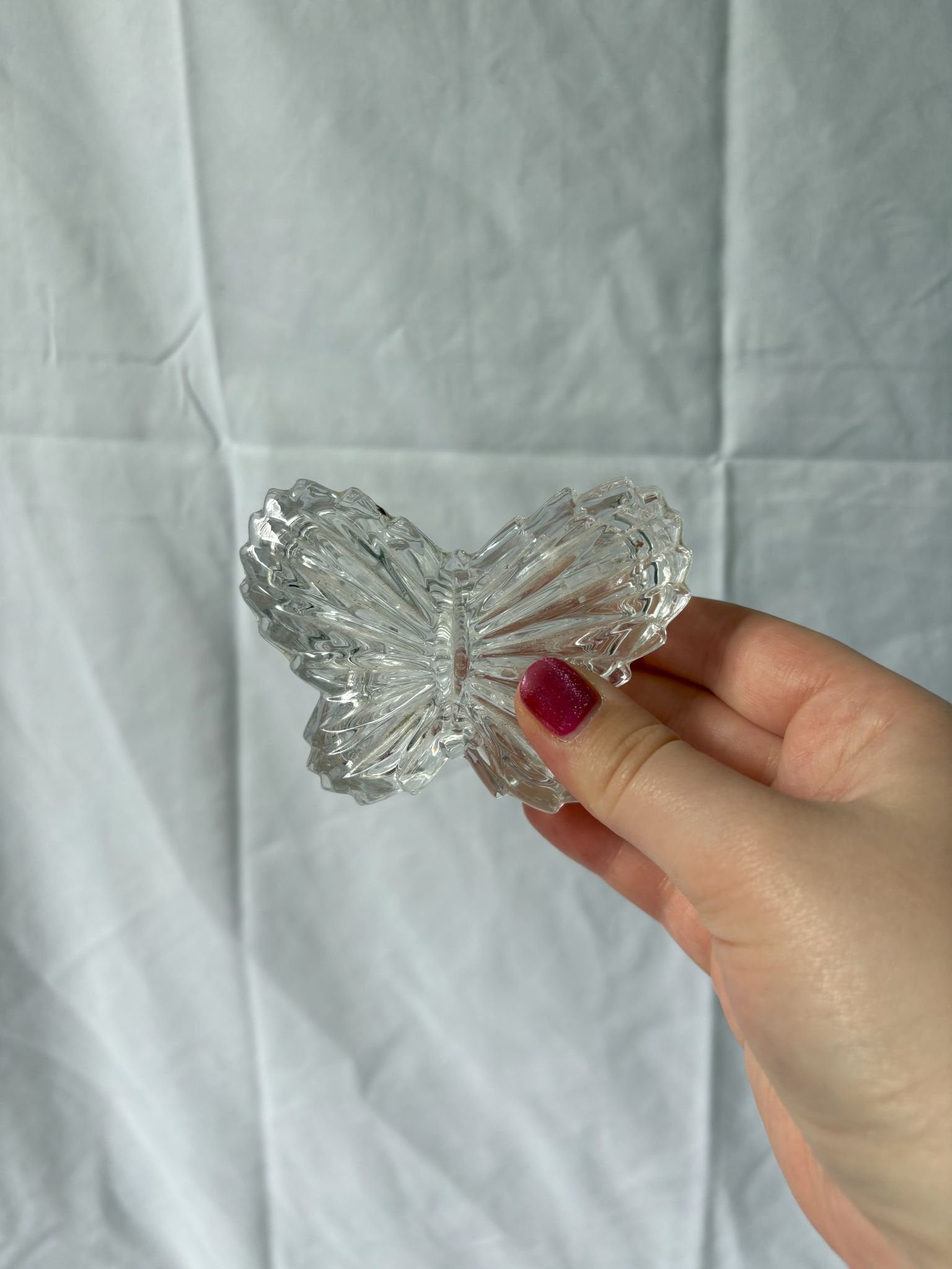 63fe71384f2da238419a4f9e_small-lidded-butterfly-2_1750617406781.jpg