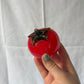 63fe71384f2da238419a4f9e_small-tomato-2_1750620652826.jpg