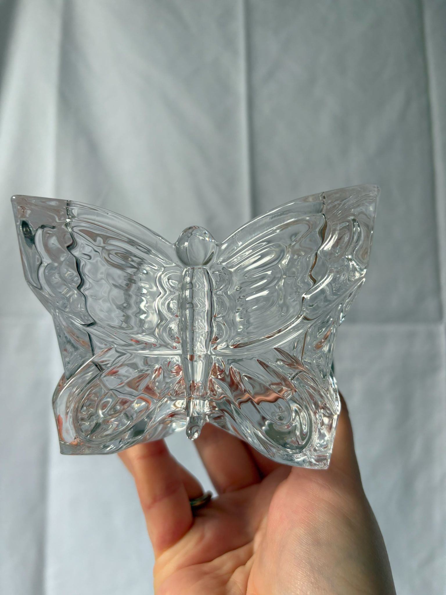 63fe71384f2da238419a4f9e_square-butterfly-dish-2_1750620867418.jpg