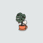 63fe71384f2da238419a4f9e_tea-cup-monstera-white-magnet_1759439366362.jpg