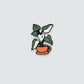 63fe71384f2da238419a4f9e_tea-cup-philodendron-white-magnet_1759439366361.jpg