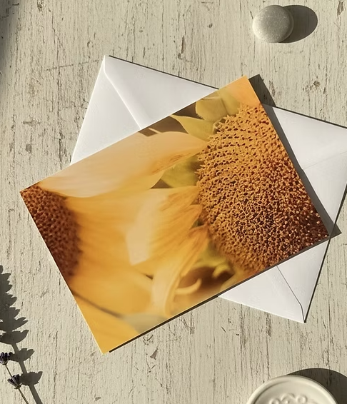 63fe71384f2da238419a4f9e_twin-sunflowers_1774015021835.png