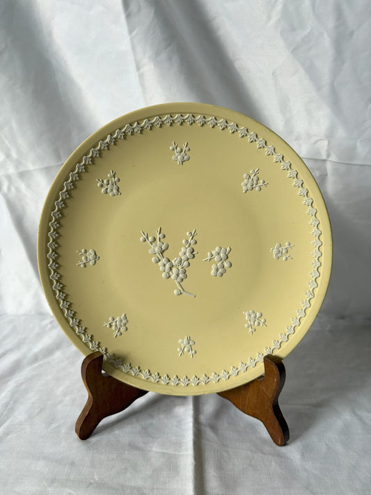 63fe71384f2da238419a4f9e_yellow-wedgwood-plate-1_1750616773585.jpg