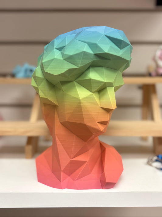 070-092 - David Bust