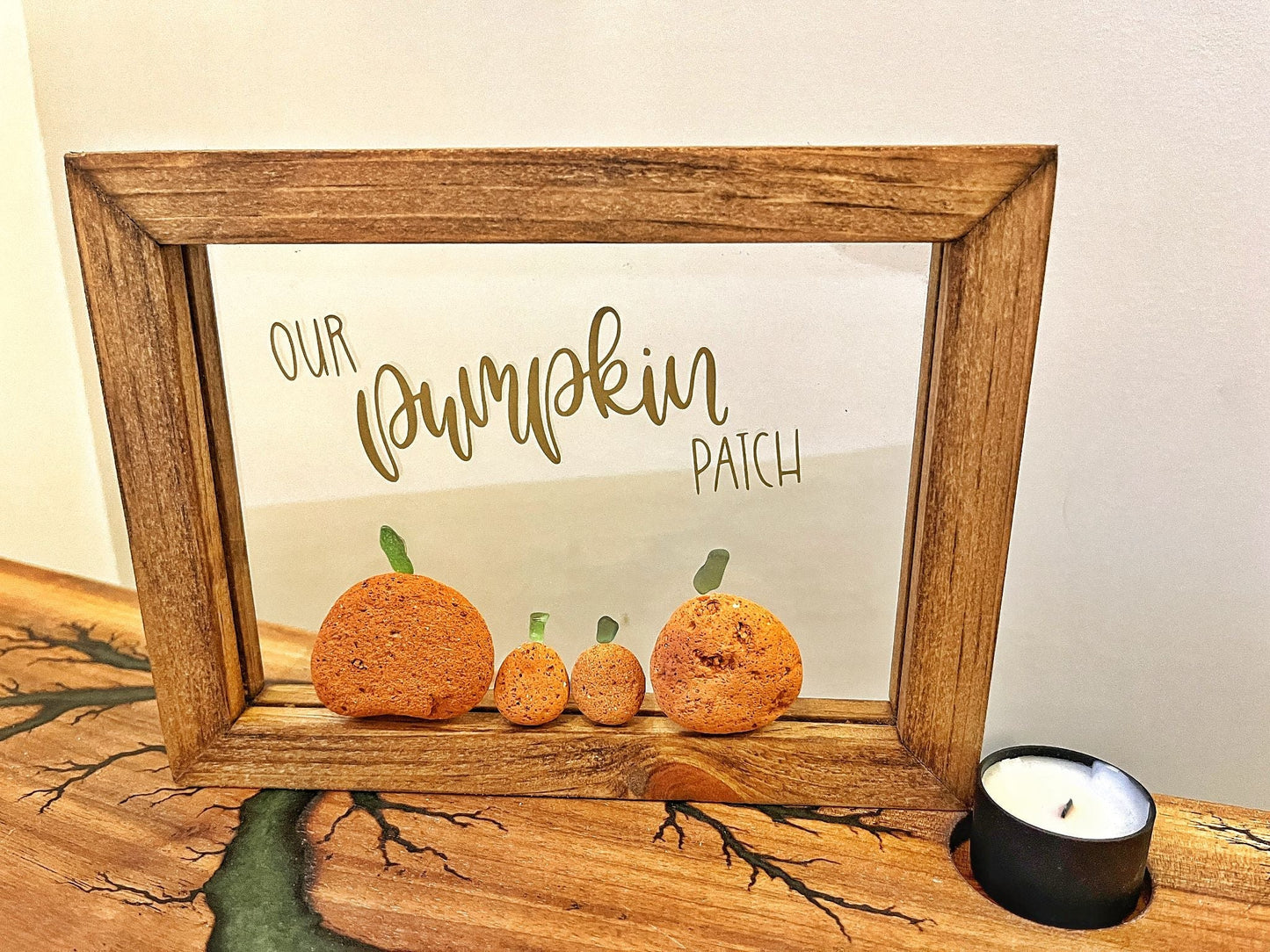 039-35 - Pumpkin Patch - 3