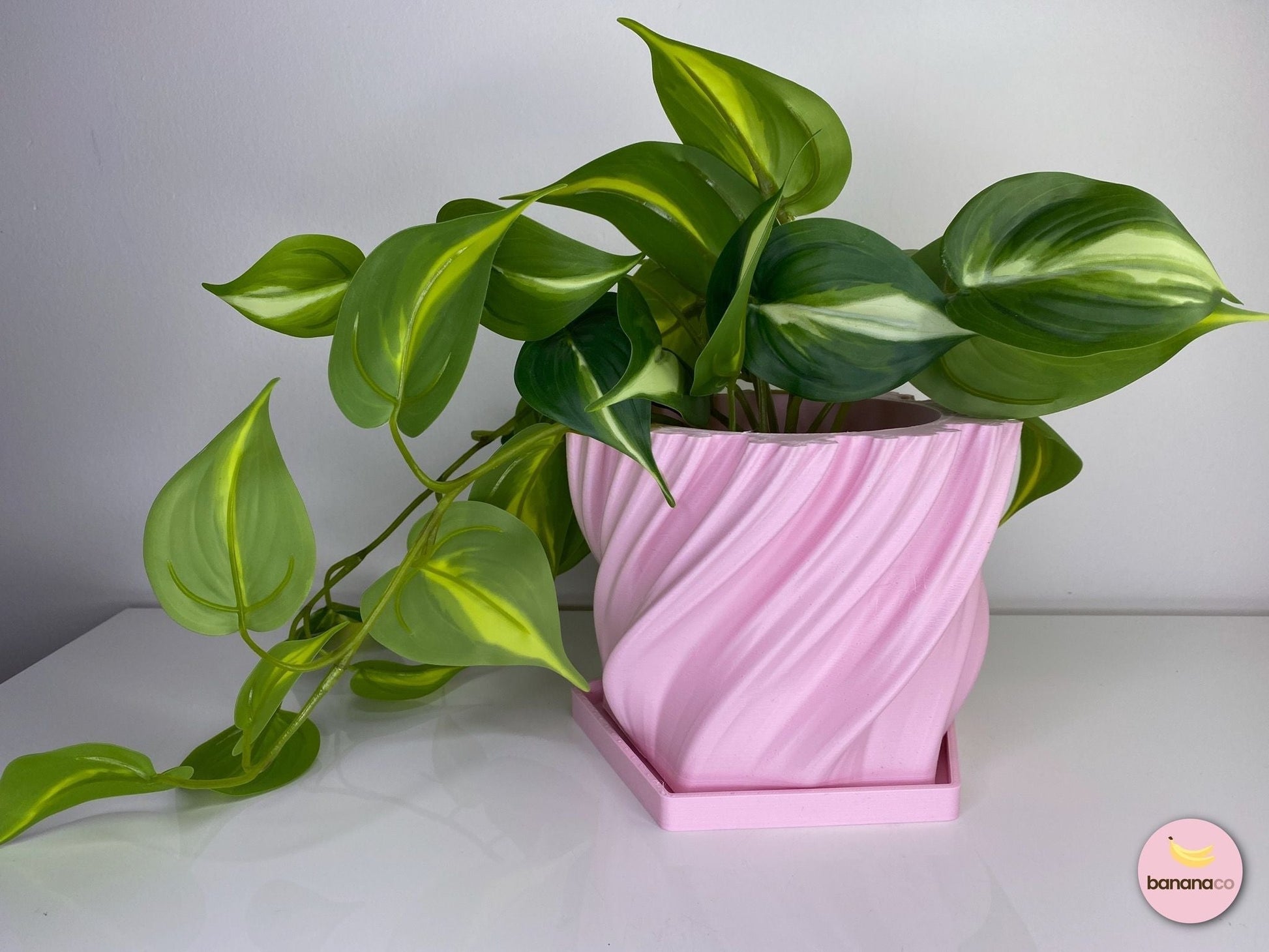 070-001 - The Bali | Planter Pot with Drainage Tray (PLANT INCLUDED WITH SMALL SIZE) - 1